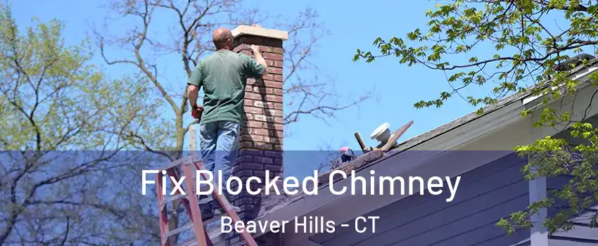 Fix Blocked Chimney Beaver Hills - CT