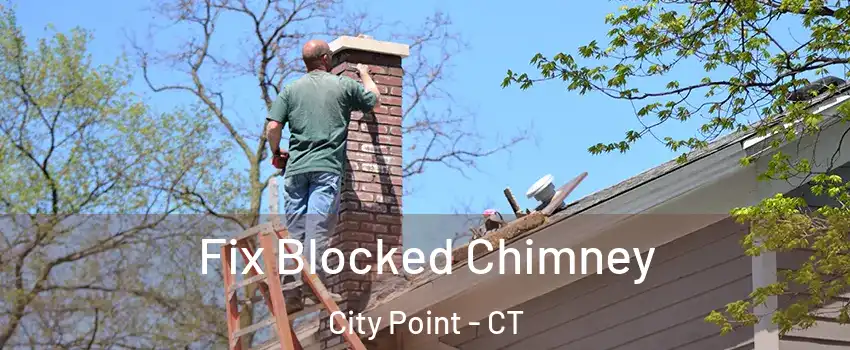 Fix Blocked Chimney City Point - CT