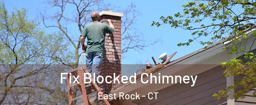 Fix Blocked Chimney East Rock - CT