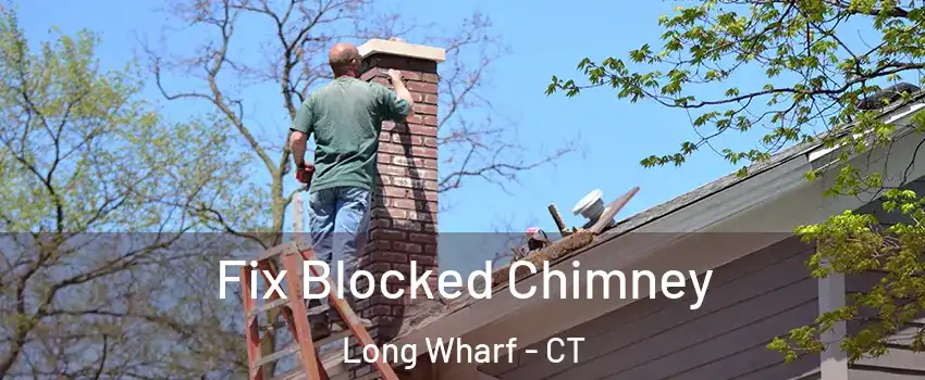 Fix Blocked Chimney Long Wharf - CT