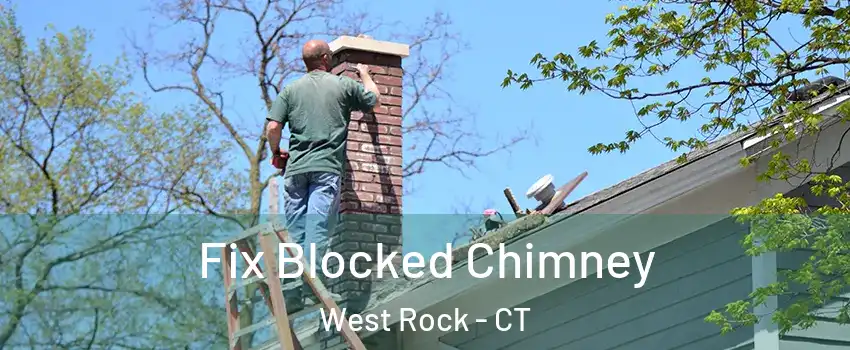 Fix Blocked Chimney West Rock - CT