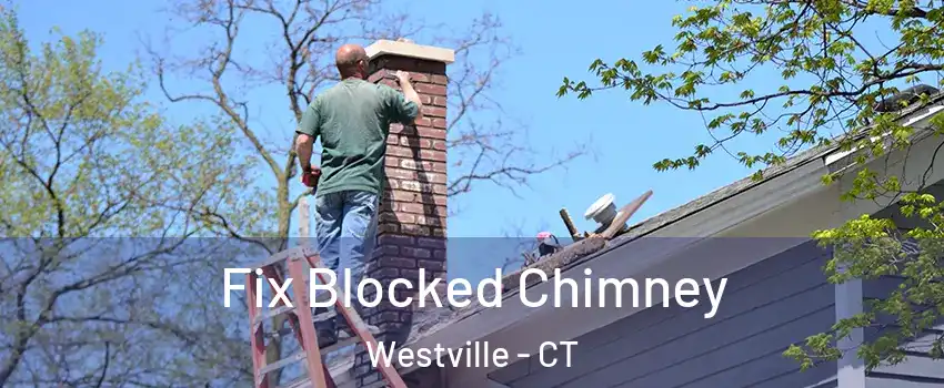 Fix Blocked Chimney Westville - CT