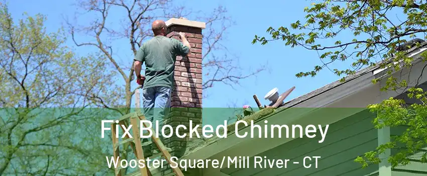 Fix Blocked Chimney Wooster Square/Mill River - CT