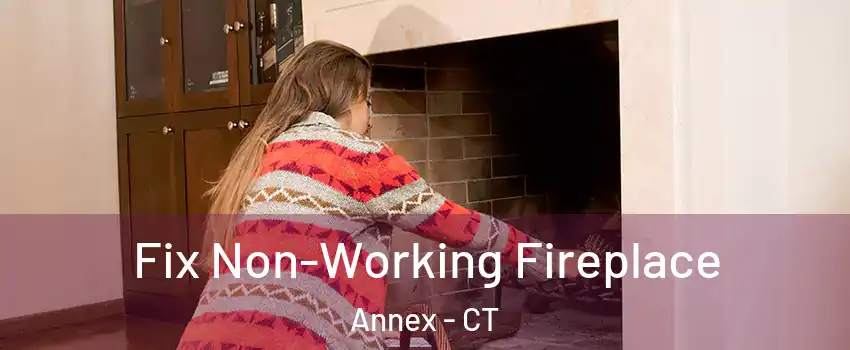 Fix Non-Working Fireplace Annex - CT