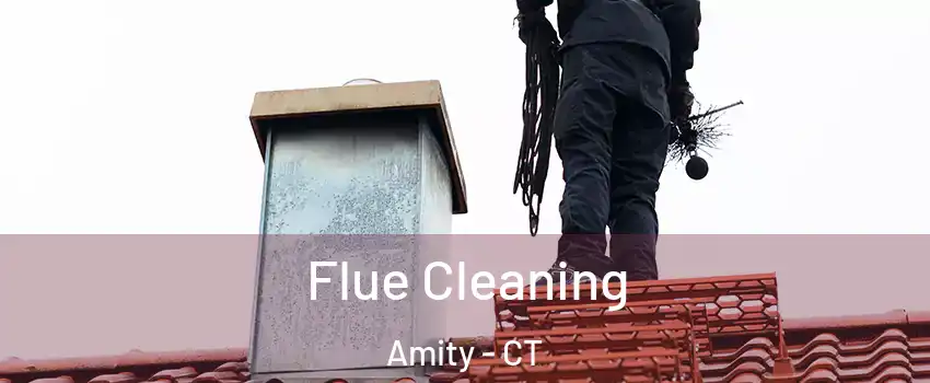 Flue Cleaning Amity - CT