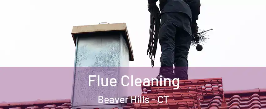 Flue Cleaning Beaver Hills - CT