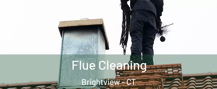 Flue Cleaning Brightview - CT