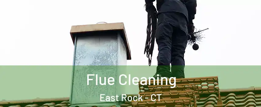 Flue Cleaning East Rock - CT