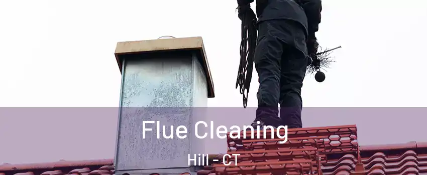 Flue Cleaning Hill - CT