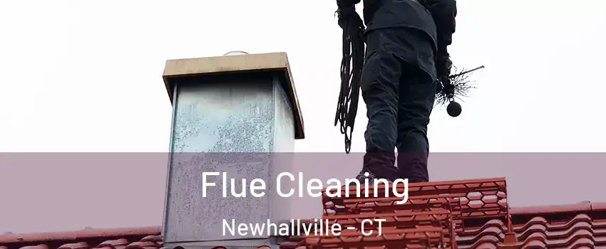 Flue Cleaning Newhallville - CT