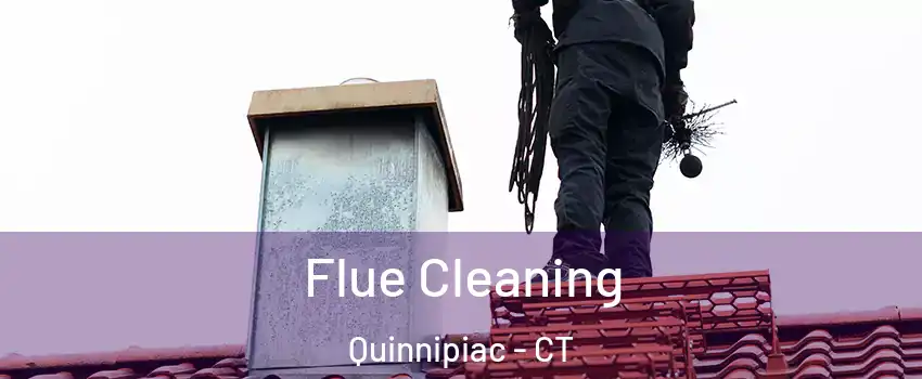 Flue Cleaning Quinnipiac - CT