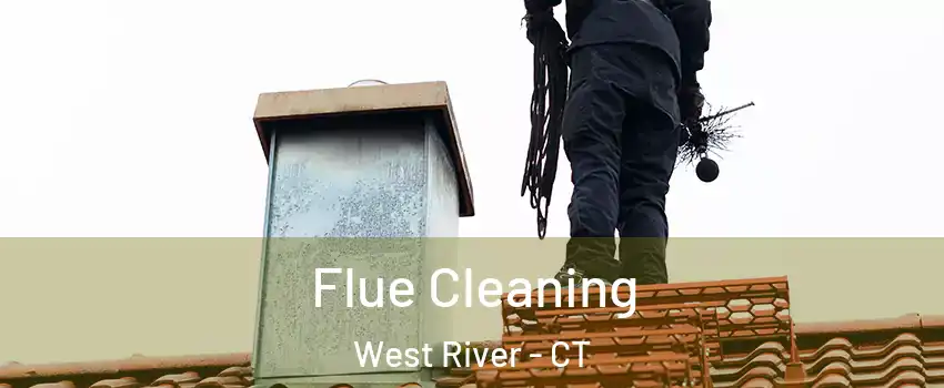 Flue Cleaning West River - CT