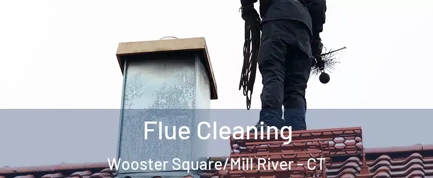 Flue Cleaning Wooster Square/Mill River - CT
