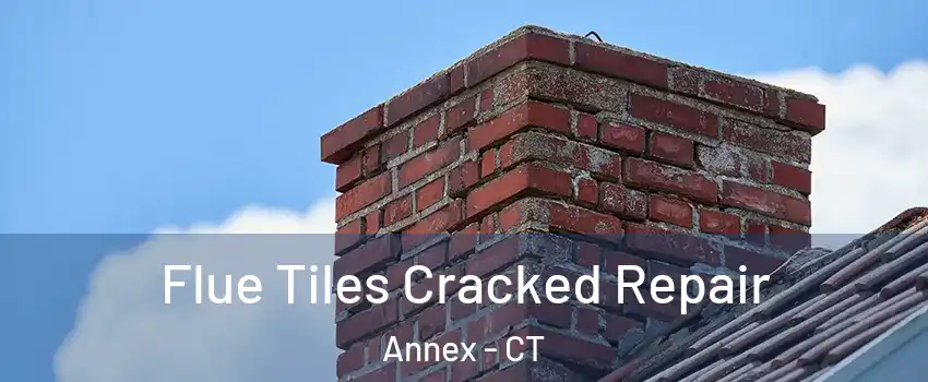 Flue Tiles Cracked Repair Annex - CT