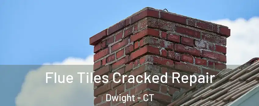 Flue Tiles Cracked Repair Dwight - CT