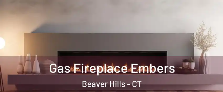 Gas Fireplace Embers Beaver Hills - CT
