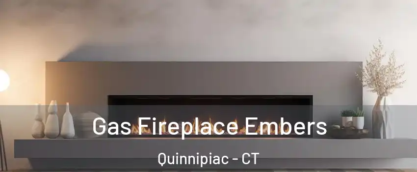 Gas Fireplace Embers Quinnipiac - CT