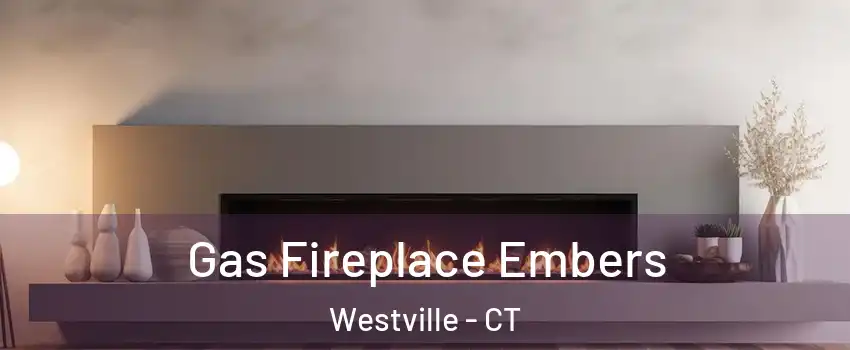 Gas Fireplace Embers Westville - CT