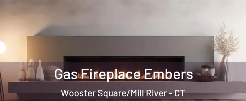 Gas Fireplace Embers Wooster Square/Mill River - CT