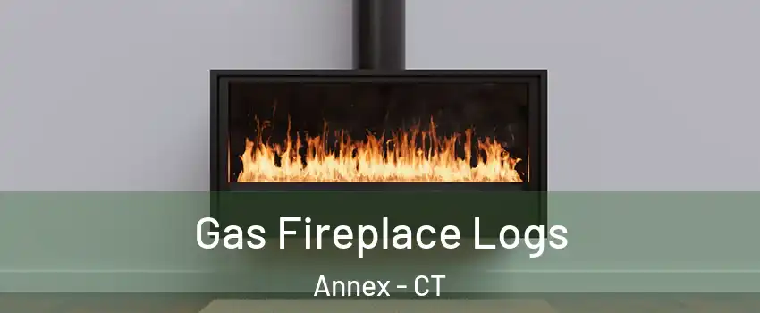 Gas Fireplace Logs Annex - CT
