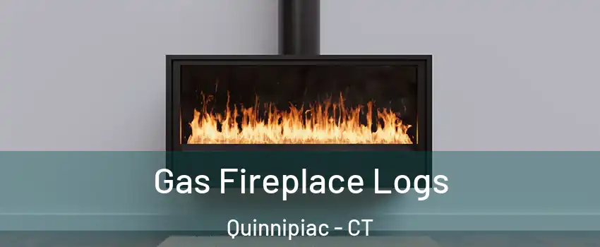 Gas Fireplace Logs Quinnipiac - CT