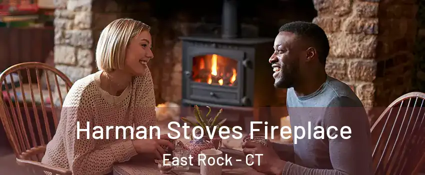 Harman Stoves Fireplace East Rock - CT