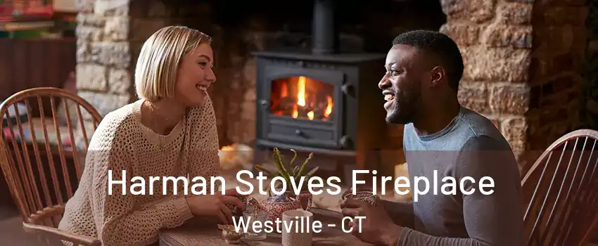 Harman Stoves Fireplace Westville - CT