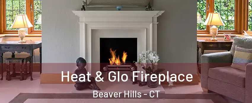 Heat & Glo Fireplace Beaver Hills - CT