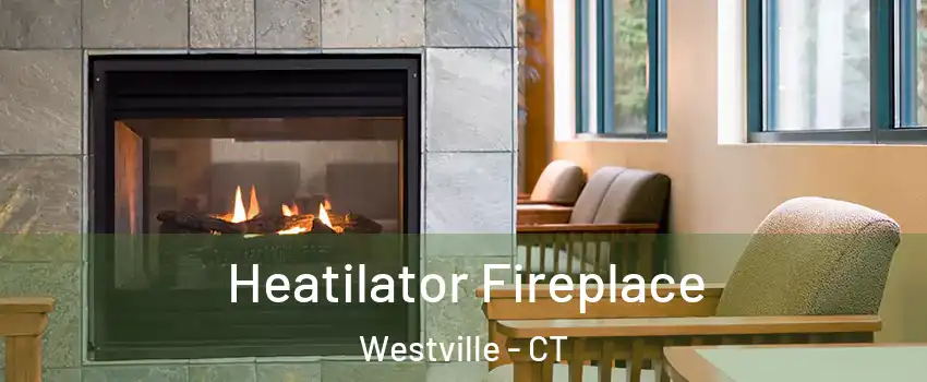 Heatilator Fireplace Westville - CT