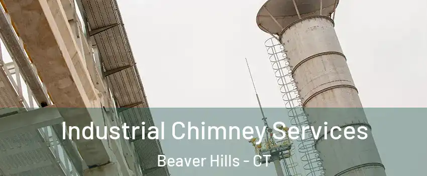 Industrial Chimney Services Beaver Hills - CT