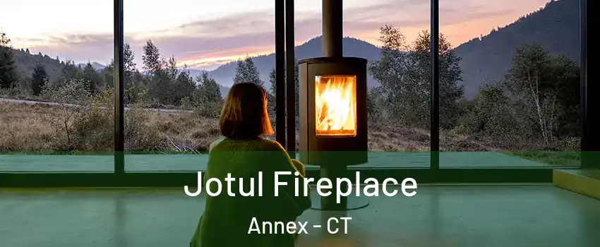 Jotul Fireplace Annex - CT