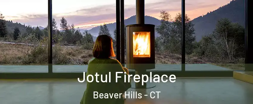 Jotul Fireplace Beaver Hills - CT