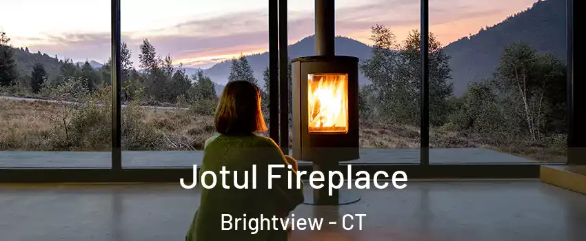 Jotul Fireplace Brightview - CT