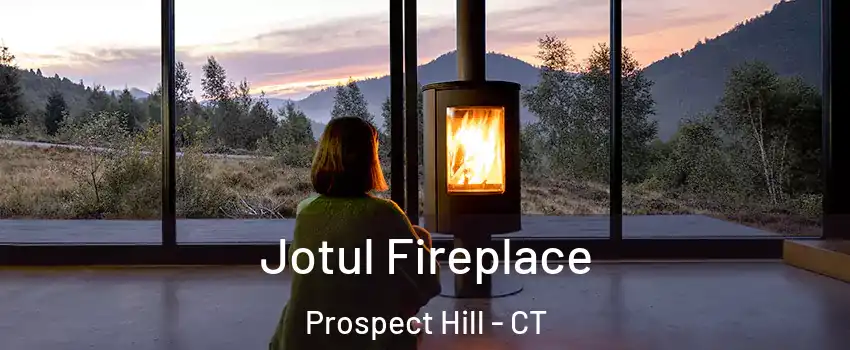 Jotul Fireplace Prospect Hill - CT