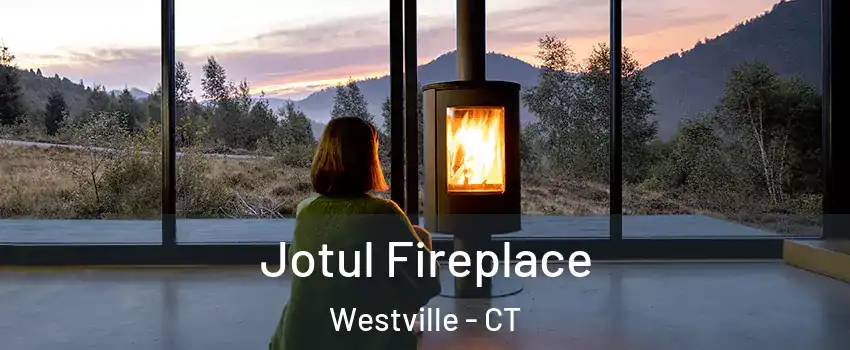 Jotul Fireplace Westville - CT