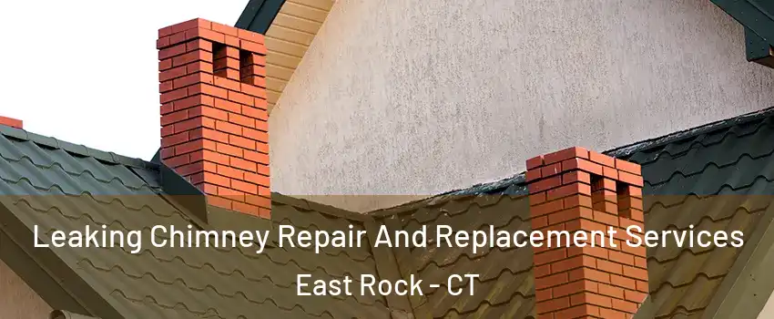 Leaking Chimney Repair And Replacement Services East Rock - CT