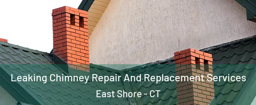 Leaking Chimney Repair And Replacement Services East Shore - CT