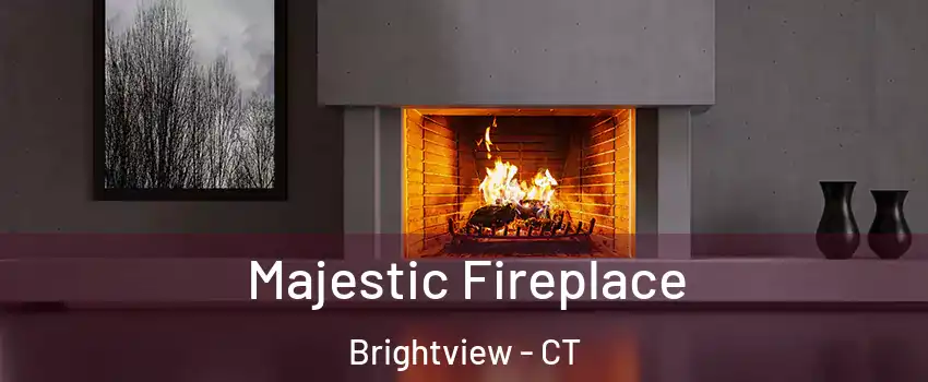 Majestic Fireplace Brightview - CT