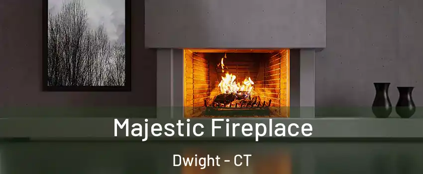 Majestic Fireplace Dwight - CT