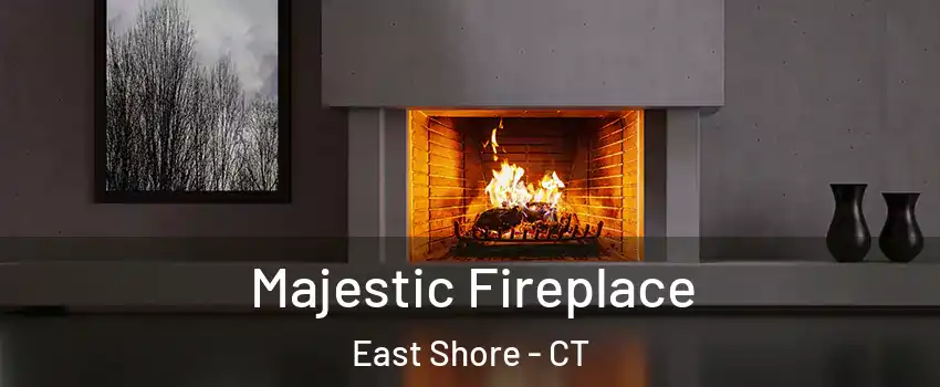 Majestic Fireplace East Shore - CT
