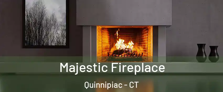 Majestic Fireplace Quinnipiac - CT