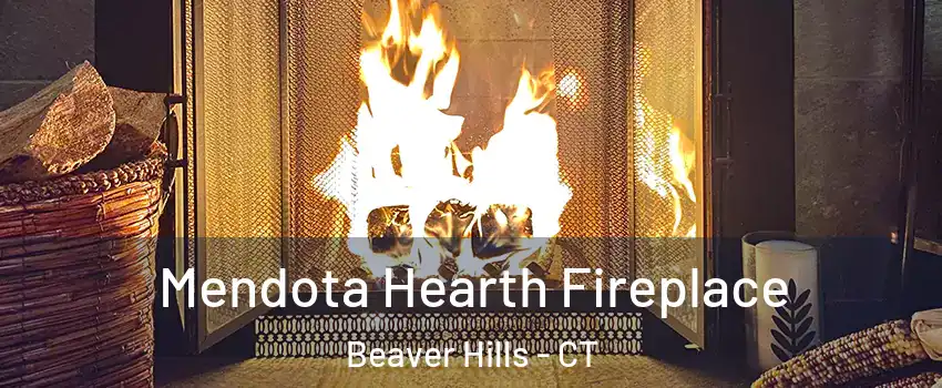 Mendota Hearth Fireplace Beaver Hills - CT