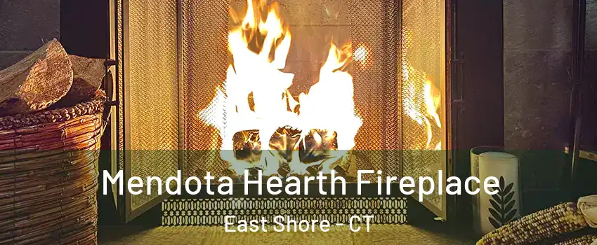 Mendota Hearth Fireplace East Shore - CT