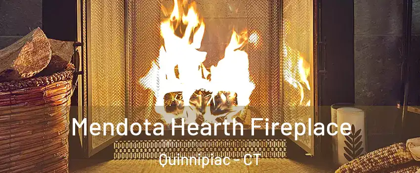 Mendota Hearth Fireplace Quinnipiac - CT