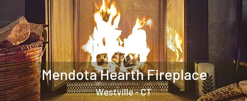 Mendota Hearth Fireplace Westville - CT