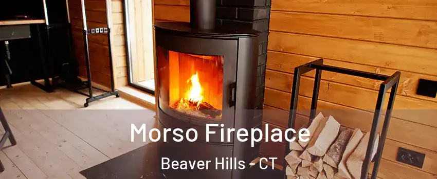 Morso Fireplace Beaver Hills - CT