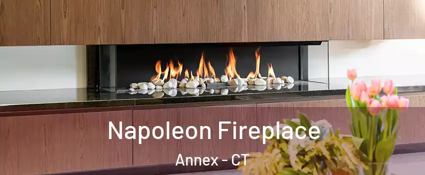 Napoleon Fireplace Annex - CT
