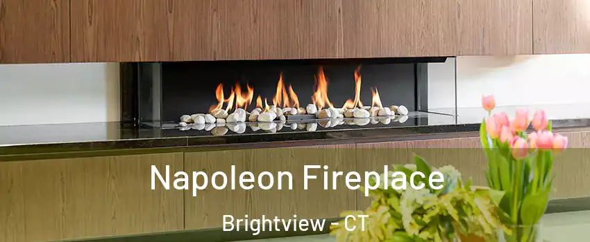 Napoleon Fireplace Brightview - CT