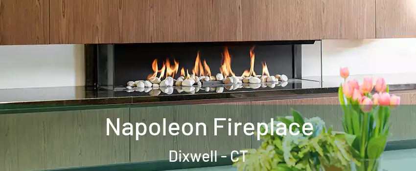 Napoleon Fireplace Dixwell - CT