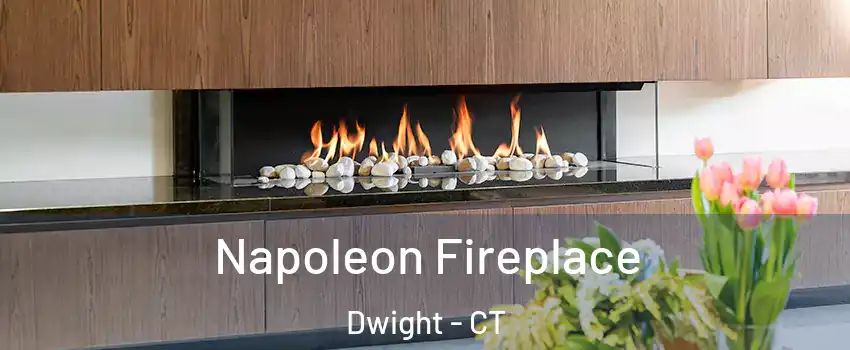 Napoleon Fireplace Dwight - CT